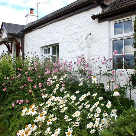 Tornaroan Cottage 巴利卡斯尔 外观 照片