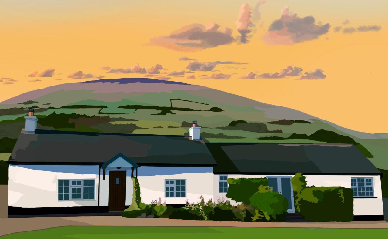 Tornaroan Cottage 巴利卡斯尔 外观 照片