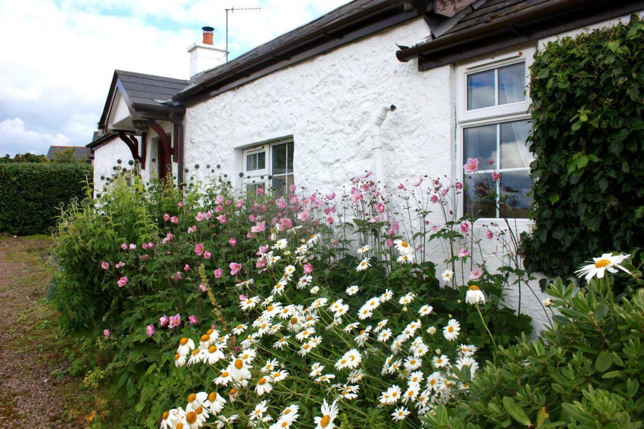 Tornaroan Cottage 巴利卡斯尔 外观 照片
